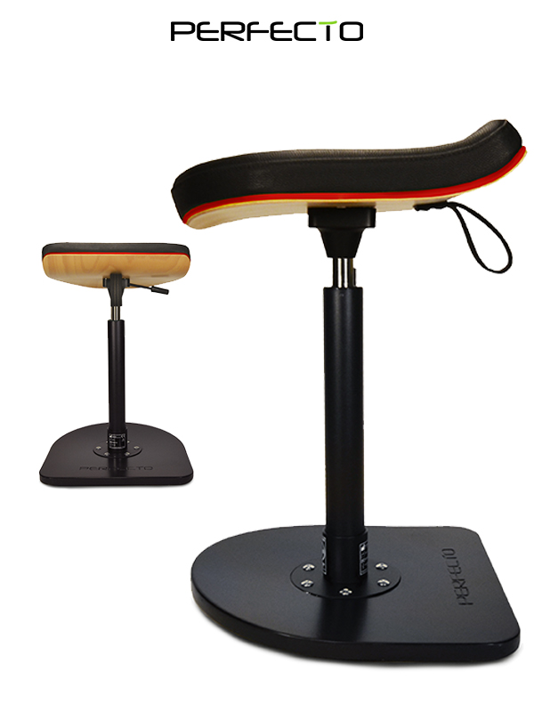 SMARTWORKING ELITE ESW-TM1