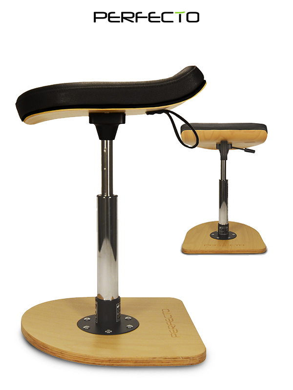 SMARTWORKING ELITE ESW-TM2